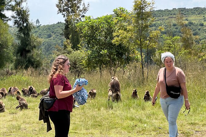 1-Day Tour Old bridge, Monastery,water falls Wildlife,Birds, - Quick hit highlights