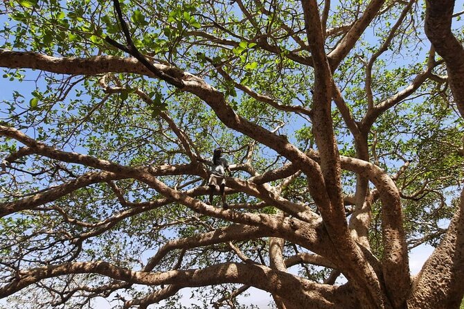 12- Day Historical Route of Ethiopia - Lake Tana and Bahir Dar: monasteries by boat, Ge’ez bibles, and Tisissat Falls