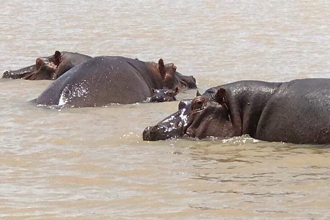2-Day private Tour in Bahir Dar and Blue Nile falls - Key highlights to watch for