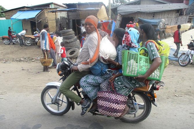 2 Days Ethiopian Rift Valley Lakes Tour from Addis Ababa - Awassa fish market morning: tilapia, birds, and a rare monkey chance