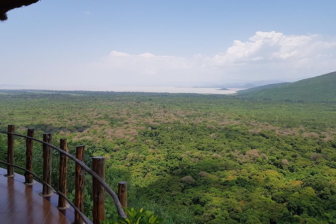 2 Days Ethiopian Rift Valley Lakes Tour from Addis Ababa - Abiyatta-Shalla National Park walks: ostriches, gazelles, and the hot spring bonus