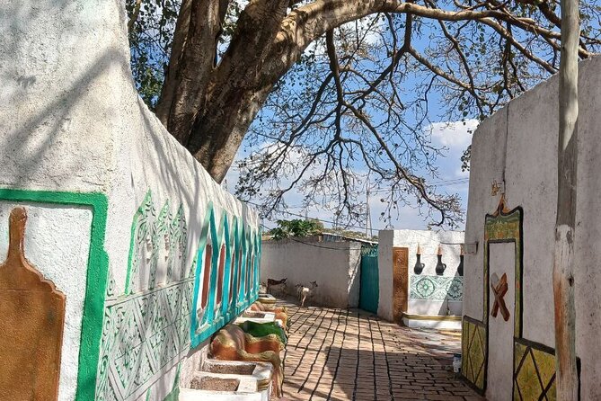 2 Days Harar Tours - Key points worth your attention