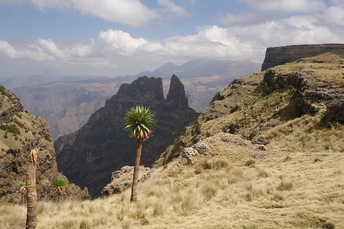 2 Days Simien Mountains Trekking - Mules, meals, and comfort you can actually count on