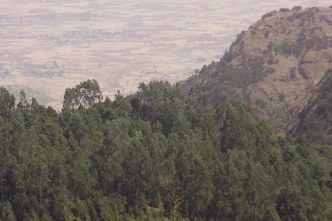 2 days trek around Lalibela - Day 1: 5 to 6 hours to a local community stay
