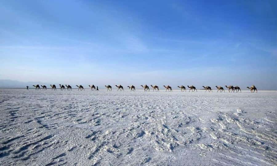2-Night 3-Day Danakil Depression Tour without Flights - Erta Ale, Salt, and Dallol, What This Tour Delivers
