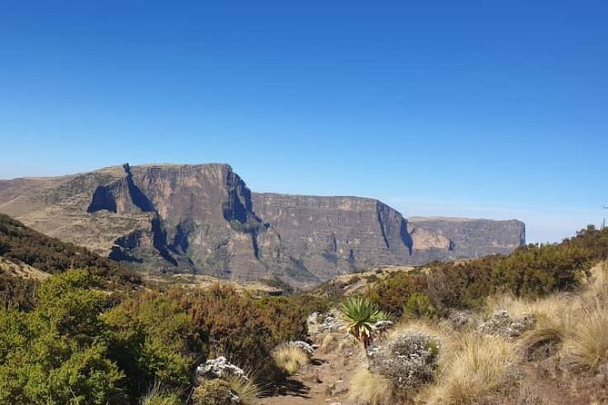 2 Nights 3 Days Trek to Semien Mountain - From Gondar to Sankobar, Getting Into the Park