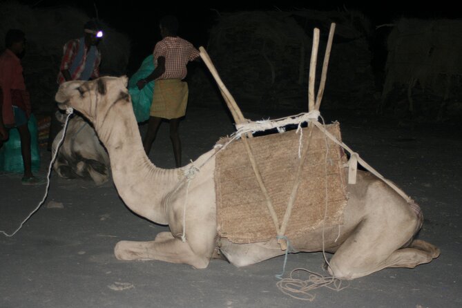 3-Day Danakil Depression Expedition - Day 3: Afdera Salt Lake Town, Salt Farms, and a Return Flight From Semera