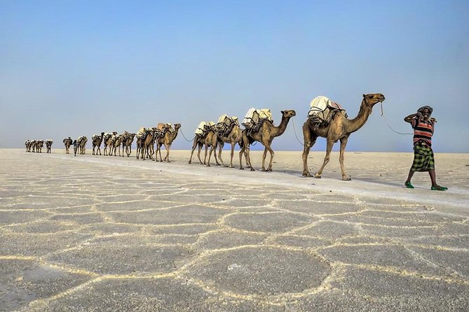 3 Day Tour to the Danakil Depression, Dallol, and Earta'le Volcano - Comfort, Safety, and Fitness Notes You Should Plan Around