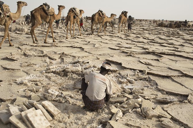 3 Day Tour to the Danakil Depression, Dallol, and Earta'le Volcano - Who This Trip Fits Best (and Who Might Want a Different Plan)