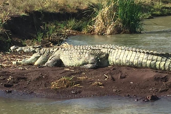 3 days, Arba Minch and Dorze - Nechisar National Park mention: plan smart if you expect zebras