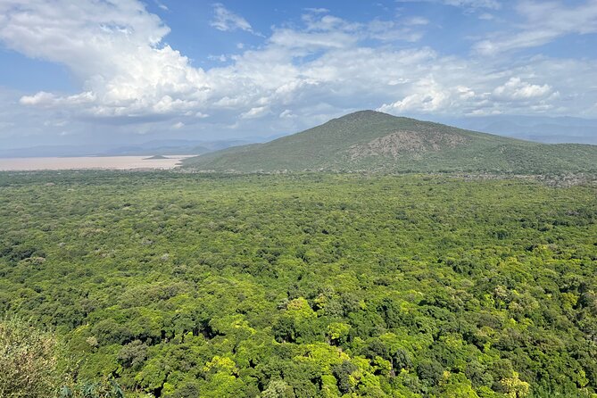 3 Days, Arba Minch, Dorze village and Konso Village - How the non-touristic village approach changes your day