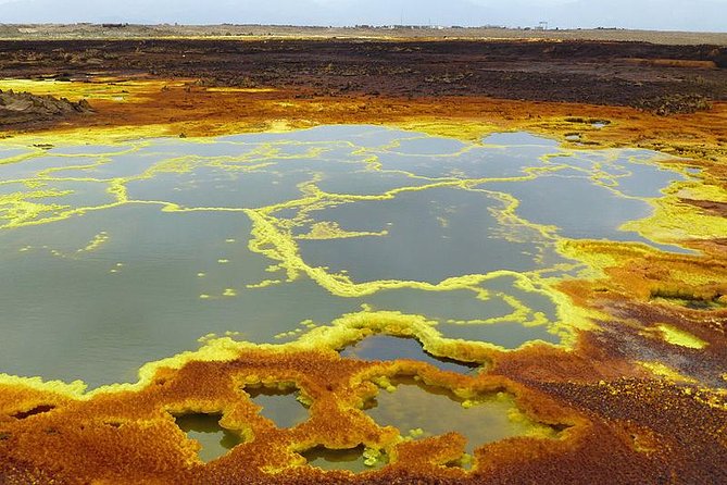 3 Days Danakil Depression Tour - Group size, guides, and communication reality in the Afar region
