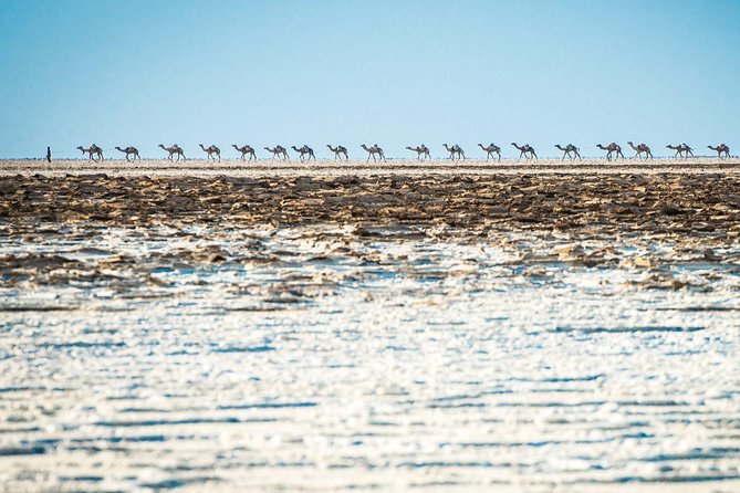3 Days Danakil Depression Tour - Who should book this, and who should skip it