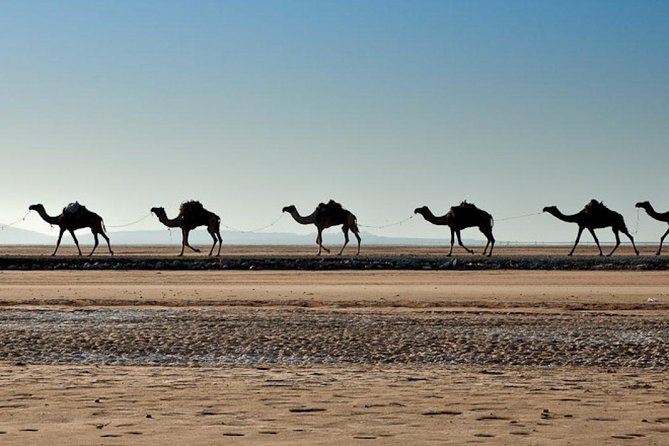 3 Days Danakil Depression Tours Via Semera - Value and pricing: is $420 a fair deal for Danakil?