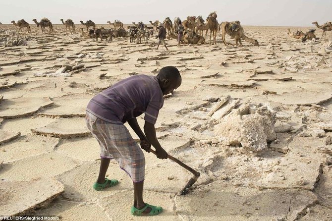 3 Days Danakil Depression Tours Via Semera - The guides and camp rhythm that make or break this trip