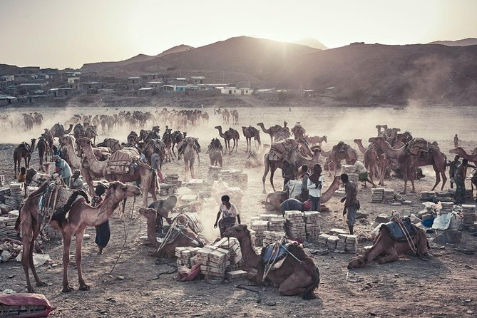 3 Days Danakil Depression Tours Via Semera - Who should book this Danakil Depression trip via Semera