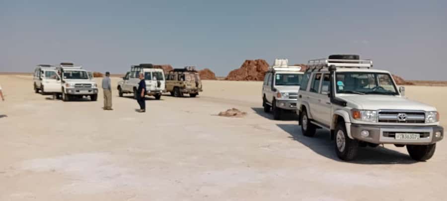 3 Days Desert Adventure: Discover Danakil's Hidden Wonders! - Salt Mining, Caravan-Style Motion, and the Camel Hire Moment
