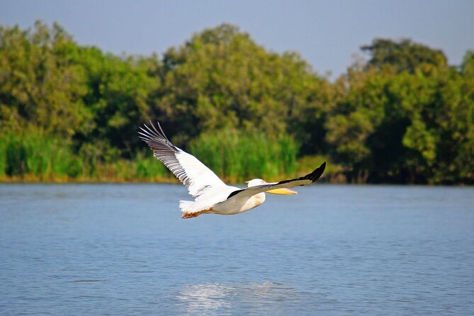 5 Day Addis,Bahir Dar,Gondar,Simien Mountains and Lalibela Tours - Gondar’s Fasil Ghebbi: Royal Ethiopia in Stone