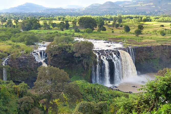 5 days Exploring North Ethiopia's Rich History and Culture - Gondar and Fasil Ghebbi: castles, a pool for Timket, and church ceilings