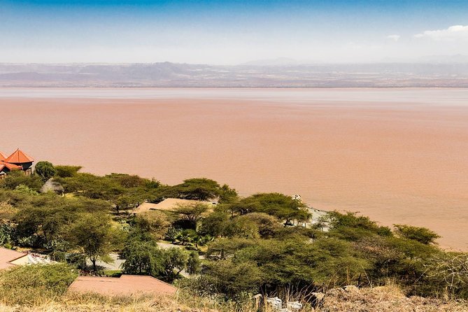 6 days 5 nights Addis Abeba sightseeing & Lalibela Rock-Hewn Churches - Day 5 Lake Langano: Rift Valley Walking and Sabana Lodge Night