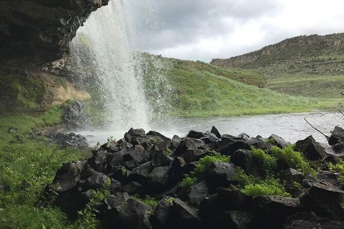 6 Days Bale Mountains Trekking - Day 5 to Harenna Forest: waterfall hike, bamboo trail, and tropical birdlife