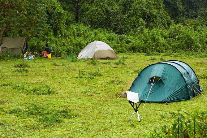 6 Days Bale Mountains Trekking - Day 6: the smooth exit back to your flight