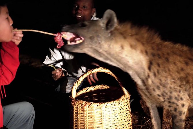 6 Days Lalibela, Omo Valley and Harar - Chamo to Chencha to Dire Dawa: Lake Chamo’s Crocodile Market and Dorze Houses