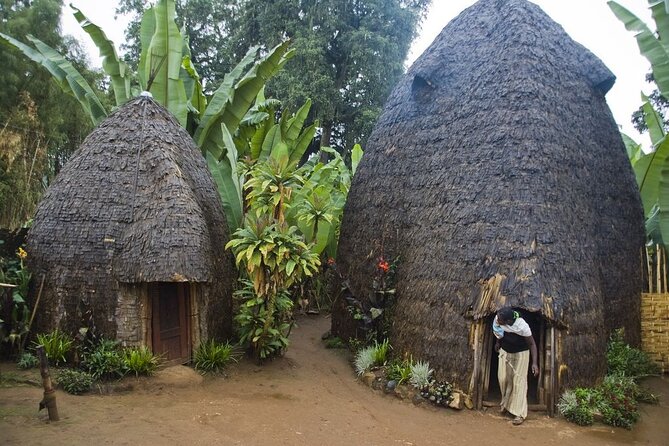 6 days Omo valley cultural Tour - Day 3: Mago National Park for Mursi, plus Turmi Markets