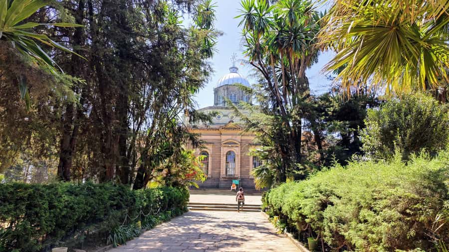 A guided tour of Addis Abeba that includes a city viewpoint - A smart 4-hour Addis sampler, built for first-timers