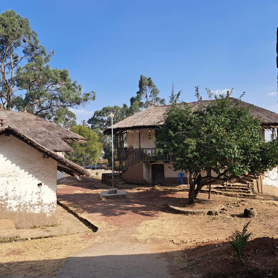 Addis Ababa at a Glance - Coffee, fresh juice, and what is actually included