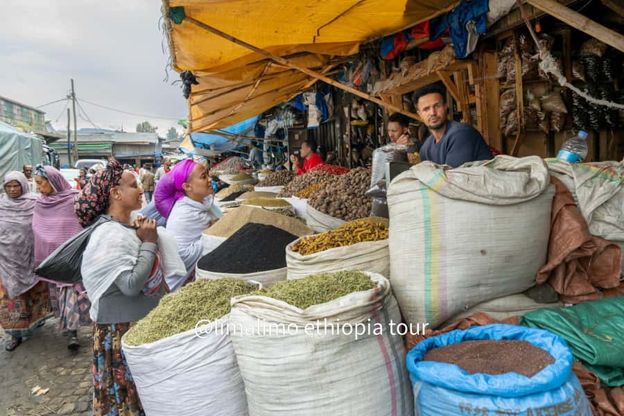 Addis Ababa City Experience : Markets, Coffee & Local Life - Addis Ababa University grounds and the Ethnological Museum