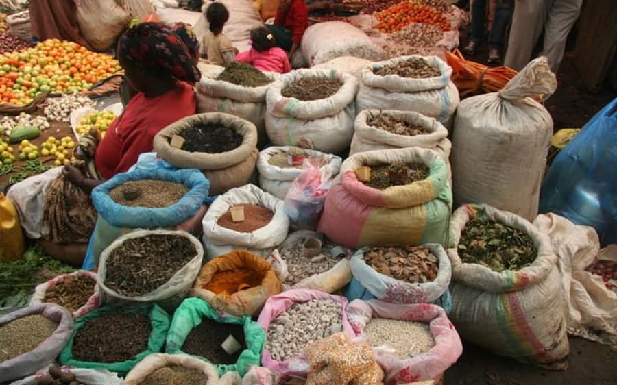 Addis Ababa: Entoto hill and Mercato Market layover tour - A Smart Layover Combo: Entoto Hill Views and Mercato Market Energy