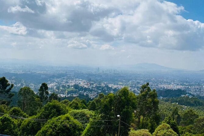 Addis Ababa Full Day City Tour - Entoto Natural Park, St. George’s Cathedral, and the coffee ceremony plus folklore dinner