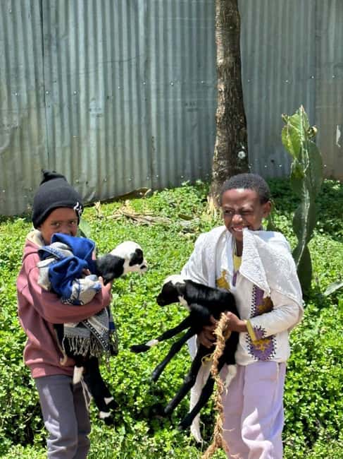 Addis Ababa highlight city tour - Entoto Mountain Panoramas: Where Addis Finally Looks Like a City