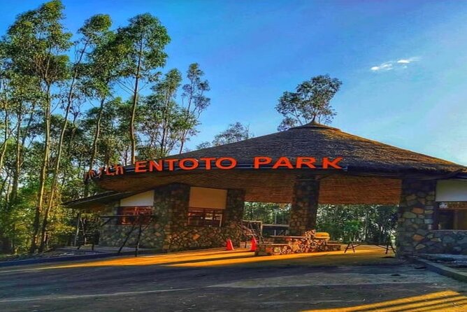 Addis Ababa +Mount Entoto View Point,Museums Palace Market Tours - Price and Logistics: What You Get for $65.55