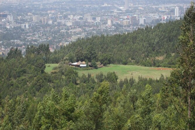 Addis Ababa +Mount Entoto View Point,Museums Palace Market Tours - Tiglachin Monument and Addis Memorial Stops