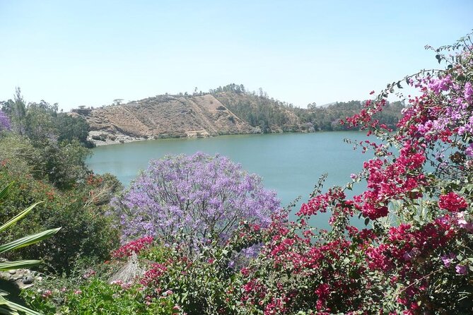 Addis Ababa Spa Day Trip To Debre Ziet(Resort Towns) - The Second Kuriftu Block In Debre Zeit: More Time To Use The Facilities