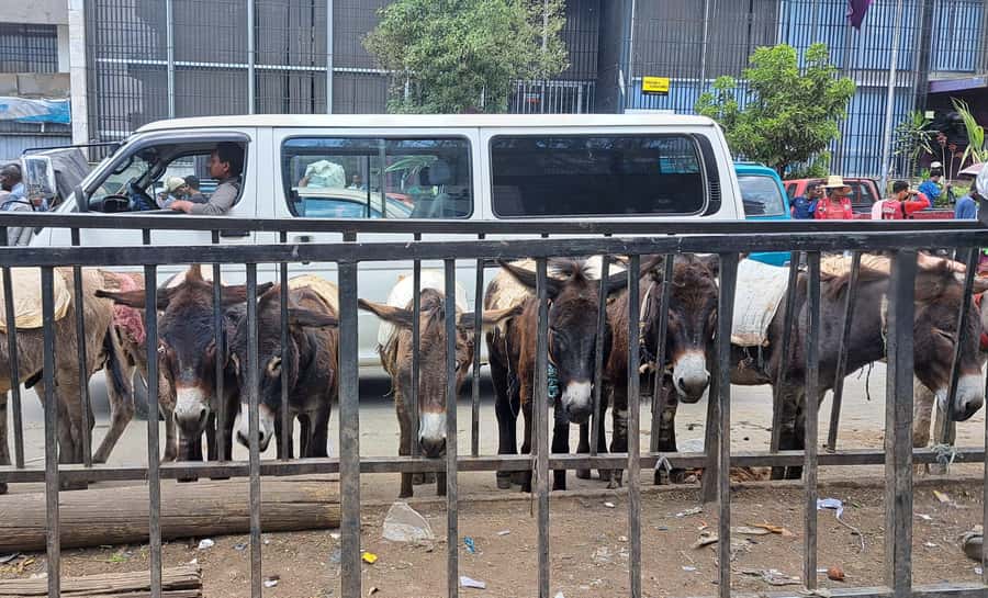 ADDISCOVERY: Addis Ababa Half-day Flexible City Discovery - Key moments to look for
