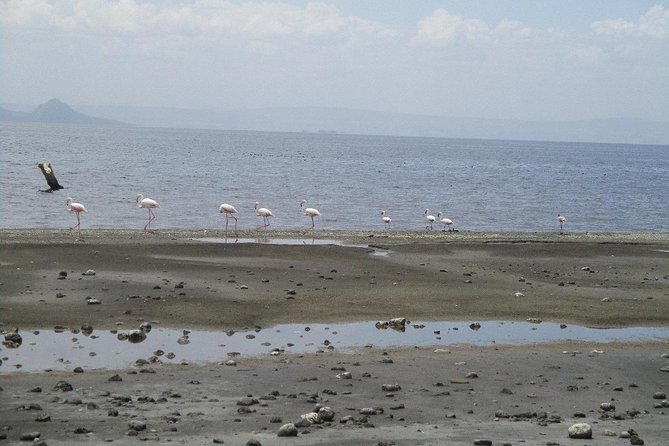 Arba Minch, Dorze Tribe, Konso, and Awasa Private 4 Days Tour from Addis Ababa - Shashamene Rastafarian community and the easy magic of Awassa sunset