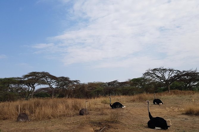 Arba Minch, Dorze Tribe, Konso, and Awasa Private 4 Days Tour from Addis Ababa - Price and value: what you are paying for, and what you still must cover
