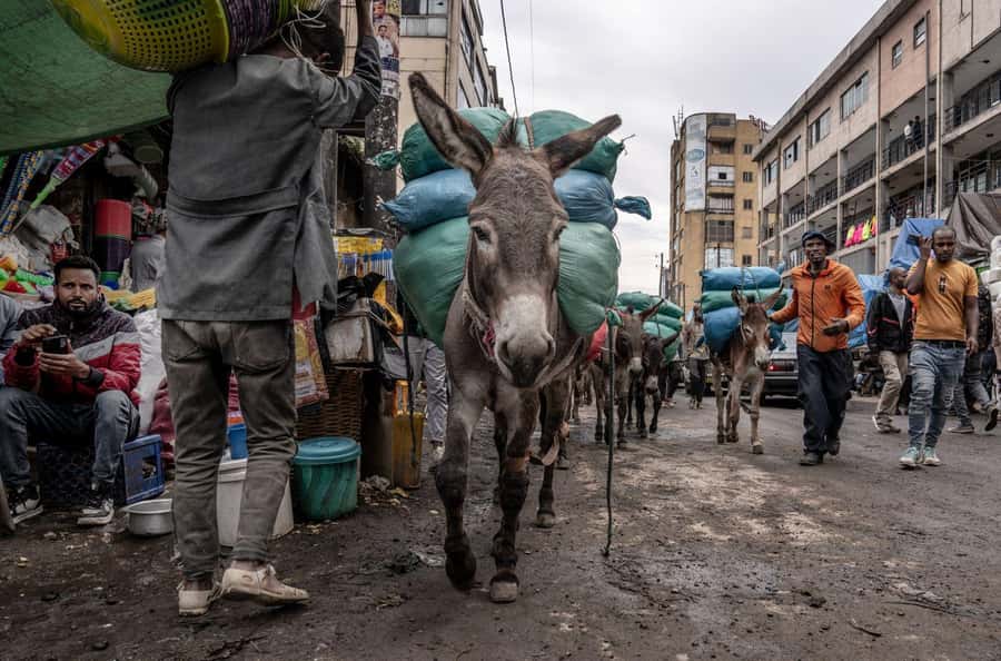 Authentic Addis Ababa City Tour with a Local Guide - Price and value: what $67 buys, and what you should budget in birr