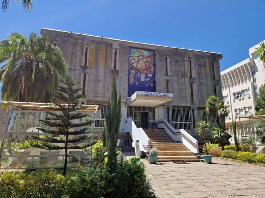 Authentic Addis Ababa Experience with Local Guide & Driver - Mercato Open-Air Market: What to Buy and How to Enjoy It