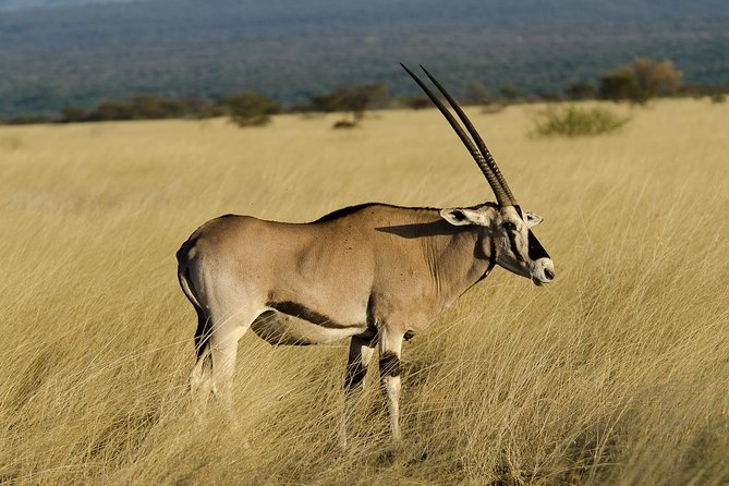 Awash National Park Tours - Key Points Before You Go