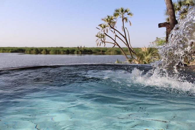 Awash National Park Tours - A Two-Day Safari With Hot Springs and Waterfalls Nearby