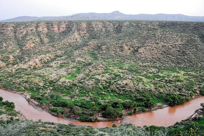 Awash National Park Tours - Getting There: 225 km East, a 8:00 am Start, and a Real Plan