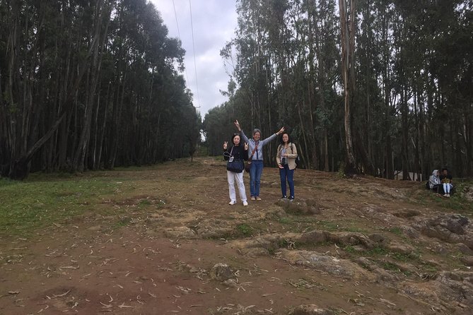 city tour of Addis Ababa ( history ,culture , food and more) - Key highlights at a glance