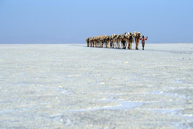 Danakil 3 days tour - Camping Setup, Meals, and How the Tour Keeps You Fed Far from Town
