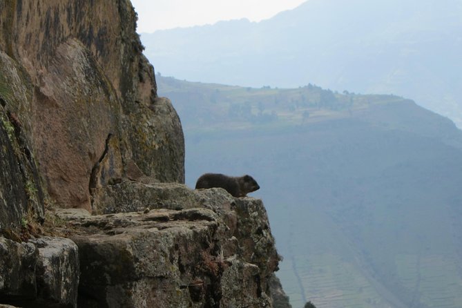 Day Hike Around Lalibela - Meeting at 8:30 AM, then heading out from Lalibela Airport