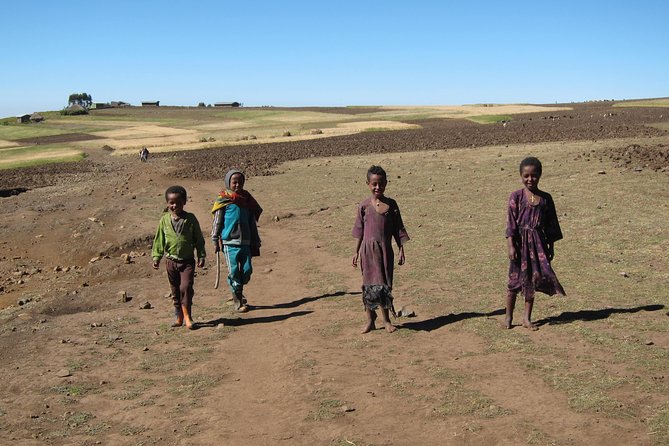 Day Hike Around Lalibela - Price and value: why $50 makes sense for a private 8-hour day