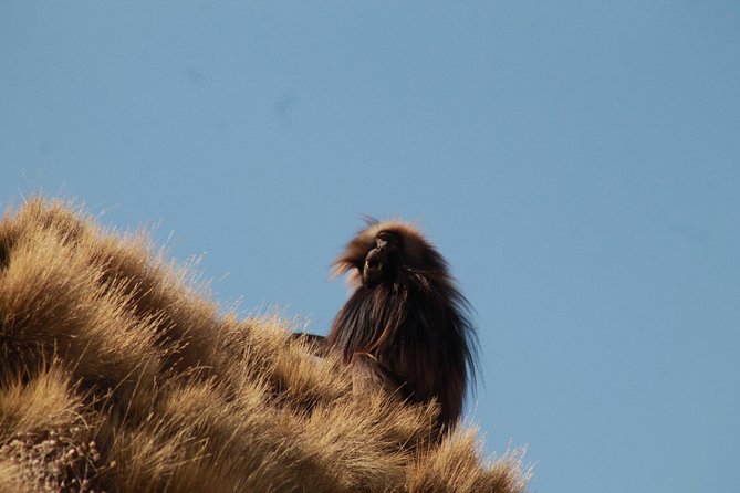 Day Hike Around Lalibela - Who this private Lalibela hike fits best